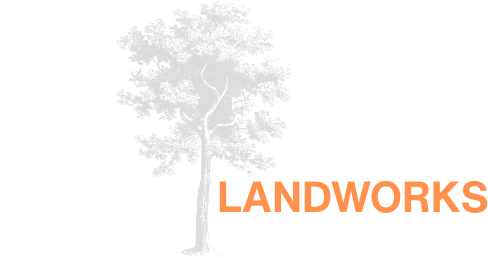 Coastal Landworks | Forestry Mulching & Land Clearing | Eastern NC ...