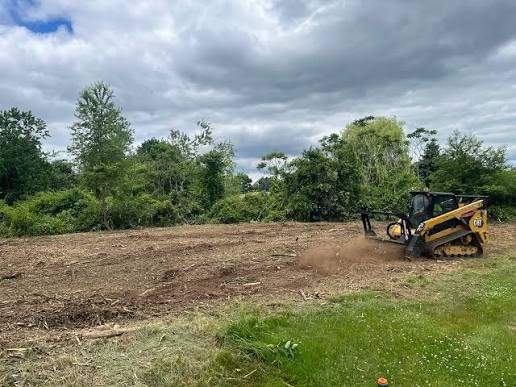 Coastal Landworks | Forestry Mulching & Land Clearing | Eastern NC ...